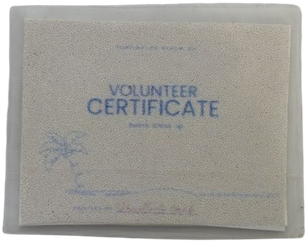 Scale model beach clean-up certificate